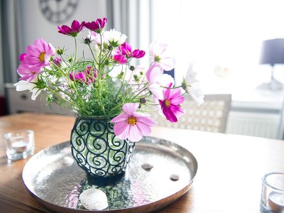 Holiday house Waldhaus - Features photo 11