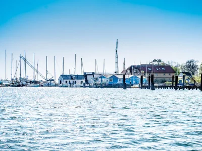 Holiday house Waldhaus - Environment photo 17