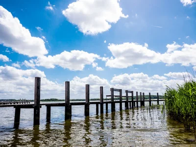 Holiday house Waldhaus - Environment photo 19