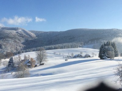 Holiday apartment Hilgarth - Environment photo 25