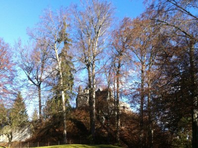 Holiday apartment Hilgarth - Environment photo 26