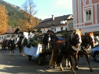 Holiday apartment Hilgarth - Environment photo 28