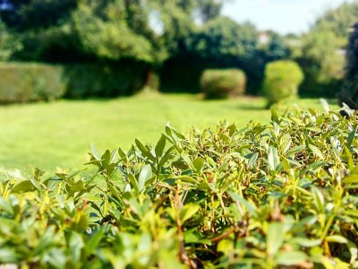 Holiday house Mehnert - Outdoor photo 3