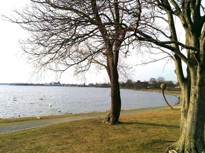 Holiday house Mehnert - Environment photo 20