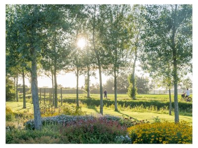 Holiday apartment Buitenplaats 65 - Environment photo 15