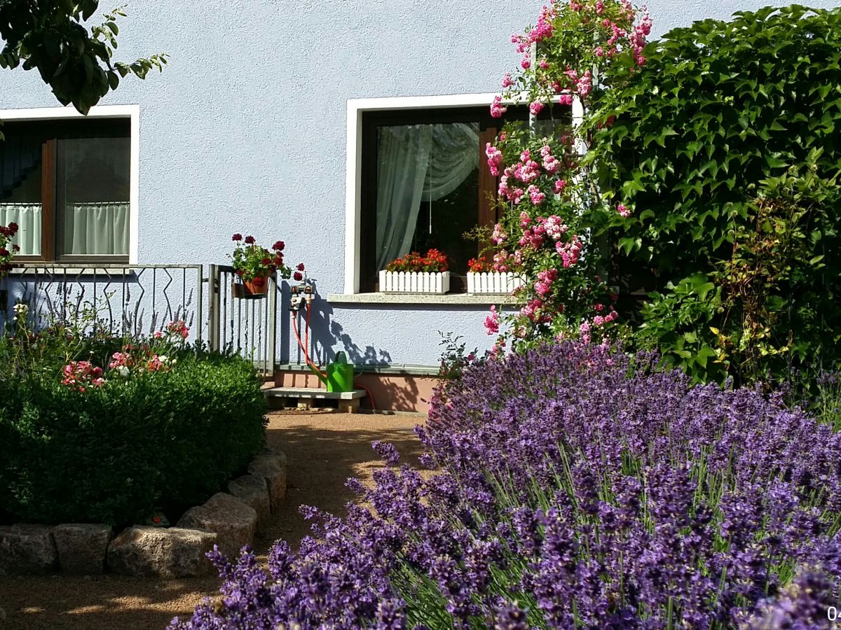 Holiday house Wildrose - Outdoor photo 3