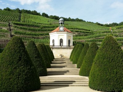 Holiday house Wildrose - Environment photo 12