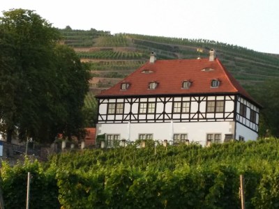 Holiday house Wildrose - Environment photo 13