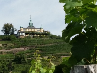 Holiday house Wildrose - Environment photo 15