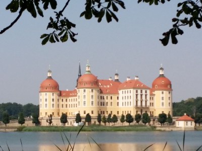 Holiday house Wildrose - Environment photo 16