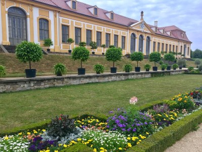 Holiday house Wildrose - Environment photo 19