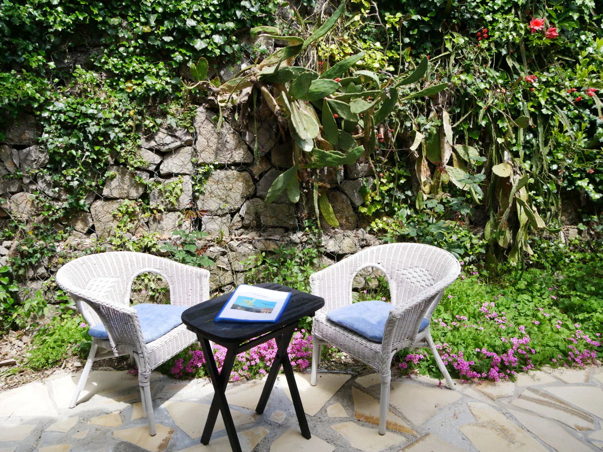 Holiday house Typical country house "Soleil" with lots of greenery - Outdoor photo 3