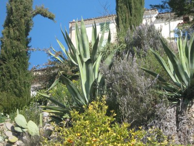 Holiday house Typical country house "Soleil" with lots of greenery - Environment photo 21