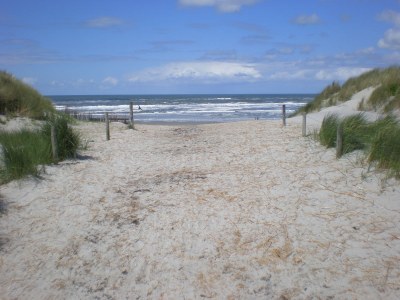 Holiday apartment Amelander Paradijs 19 - Environment photo 17