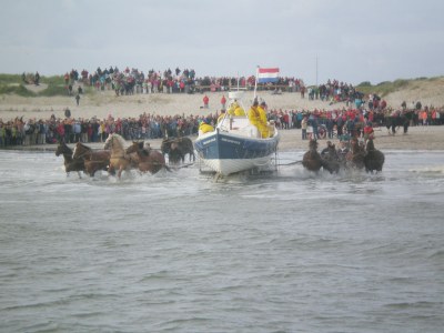 Holiday apartment Amelander Paradijs 19 - Environment photo 18