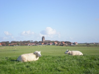 Holiday apartment Amelander Paradijs 19 - Environment photo 21