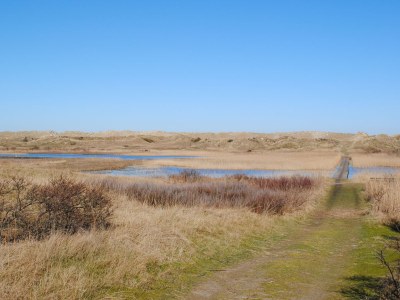 Holiday apartment Amelander Paradijs 19 - Environment photo 22