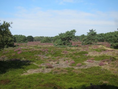 Holiday apartment Oudtburgh - Environment photo 18