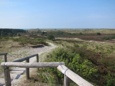 Holiday apartment Oudtburgh - Environment photo 19