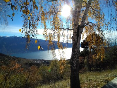 Holiday apartment Haus Bonassi, Apt. 4 - Environment photo 25