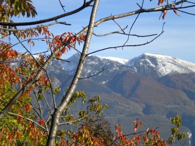 Holiday apartment Haus Bonassi, Apt. 4 - Environment photo 26