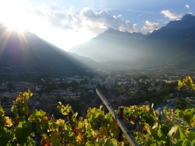 Apartment 39012 - Environment photo 16