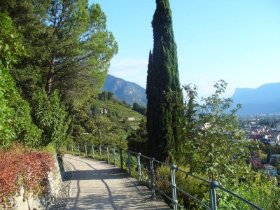 Apartment 39012 - Environment photo 17