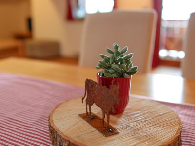 Holiday apartment Kastner - Antenbichllehen - Outdoor photo 6