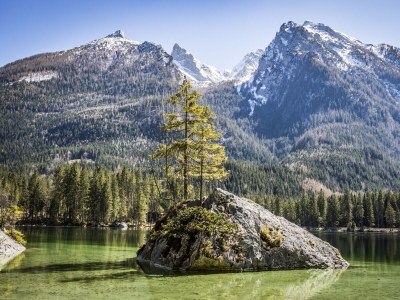 Holiday apartment Kastner - Antenbichllehen - Environment photo 20