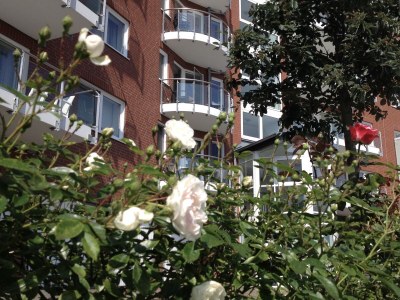 Holiday apartment Mehr am Watt'n Meer Doris Frenzel - Outdoor photo 13