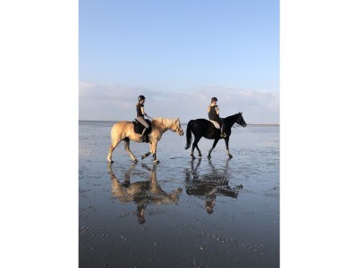 Holiday apartment Mehr am Watt'n Meer Doris Frenzel - Outdoor photo 15