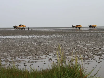Holiday apartment Mehr am Watt'n Meer Doris Frenzel - Environment photo 32