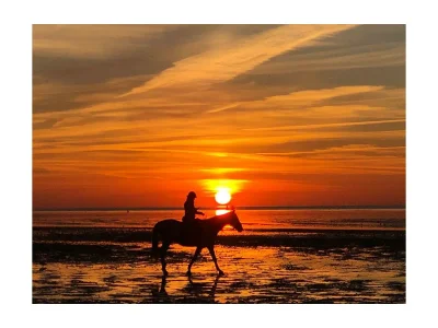 Holiday apartment Mehr am Watt'n Meer Doris Frenzel - Environment photo 34