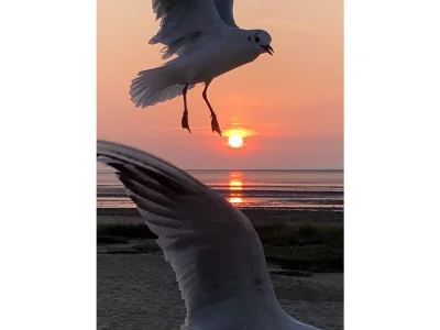 Holiday apartment Mehr am Watt'n Meer Doris Frenzel - Environment photo 36