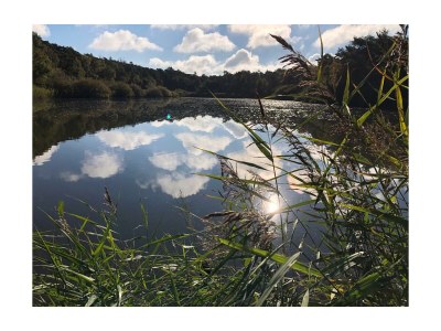 Holiday apartment Mehr am Watt'n Meer Doris Frenzel - Document photo 40