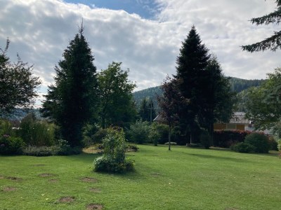 Cottage Bungalow with pool - Outdoor photo 6