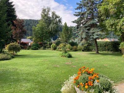 Cottage Bungalow with pool - Outdoor photo 7