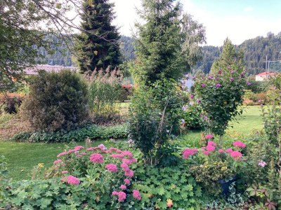 Cottage Bungalow with pool - Outdoor photo 9