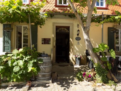 Holiday apartment Landhauswohnung - Outdoor photo 8