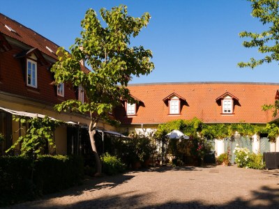 Holiday apartment Landhauswohnung - Outdoor photo 10