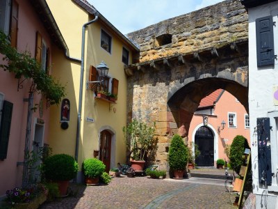 Holiday apartment Landhauswohnung - Environment photo 32