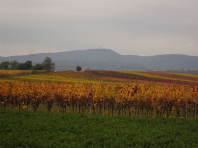 Holiday apartment Landhauswohnung - Environment photo 33