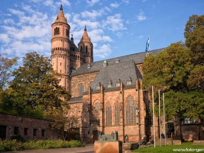 Holiday apartment Landhauswohnung - Environment photo 35