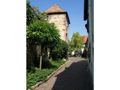 Holiday apartment Landhauswohnung - Environment photo 37