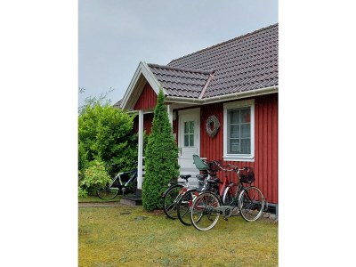 Holiday house Vogelsang - Outdoor photo 8