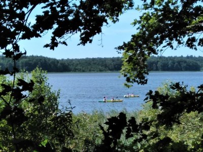 Holiday house Vogelsang - Environment photo 30