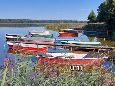 Holiday house Vogelsang - Environment photo 31