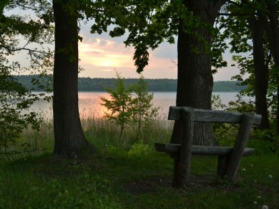 Holiday house Vogelsang - Environment photo 36