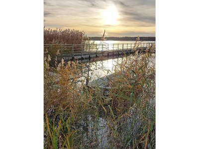 Holiday house Vogelsang - Environment photo 37