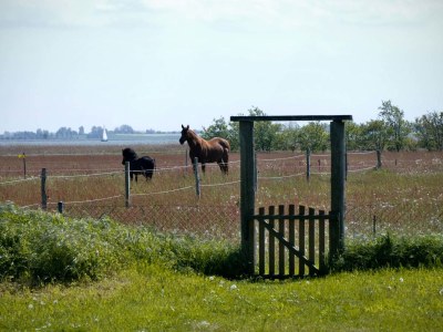 Holiday apartment Hus Utspann: sunset glow - Features photo 22